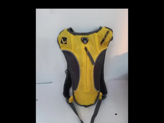 Mochila de hidratación - Mochila de ciclismo con bolsa de agua de 2L incluida para correr, caminar, andar en bicicleta, festivales, bolsa de hidratación Raves